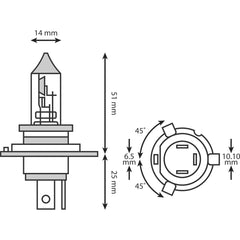 12v 35/35w  Halogen EH300 Headlight Bulb
