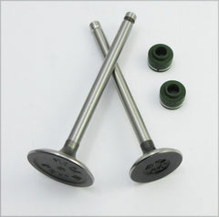 NBC110 Engine Valves and Stem Seals