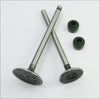 NBC110 Engine Valves and Stem Seals