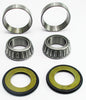 Ducati Steering Head Stem Bearing Kit  22-1039