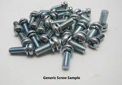 K-1463SS Carb Screw Kit