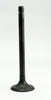14711-152-000 and 14721-176-000  Engine Intake & Exhaust Valves