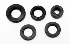 Honda XR80R  1979-2003 Oil Seal Kit